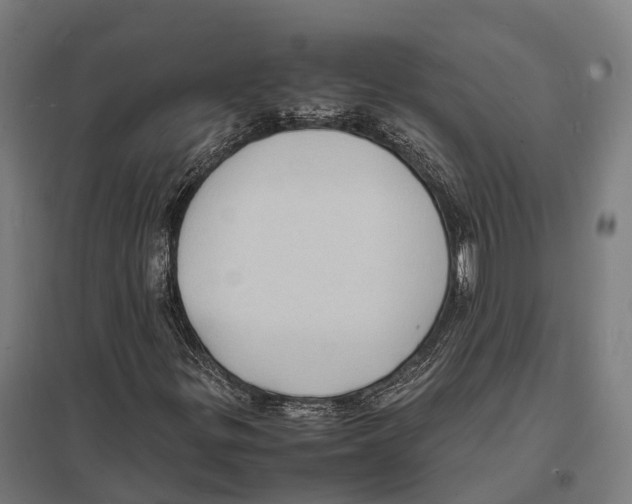 X0000097621299200803281027