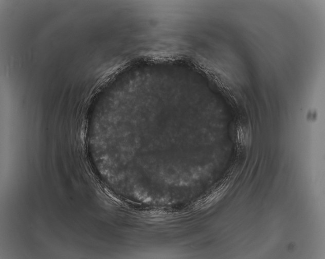 X0000097621300200803281027