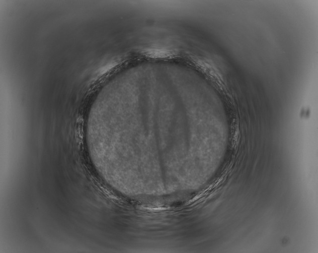 X0000097621301200803281027