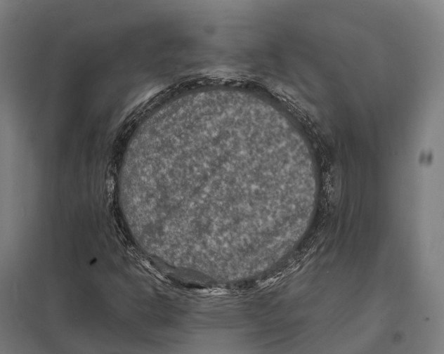 X0000097621302200803281027