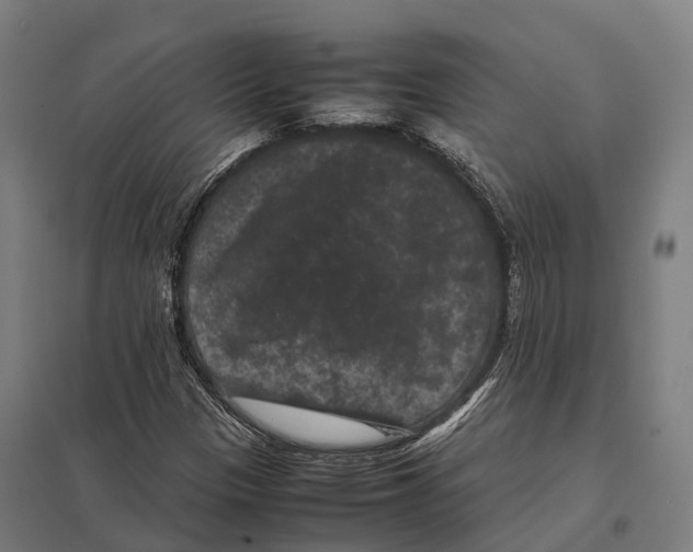 X0000097621305200803281027
