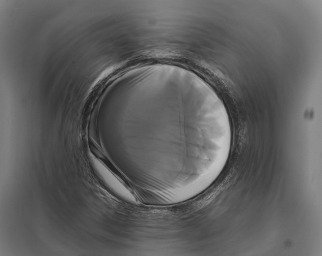 X0000097621306200803281027