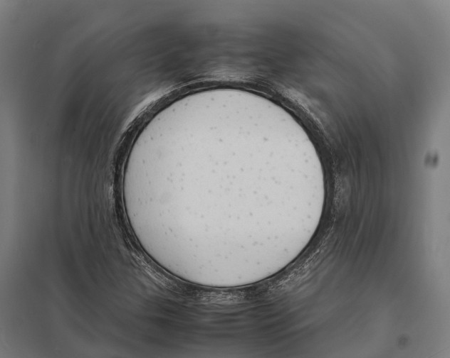 X0000097621307200803281027