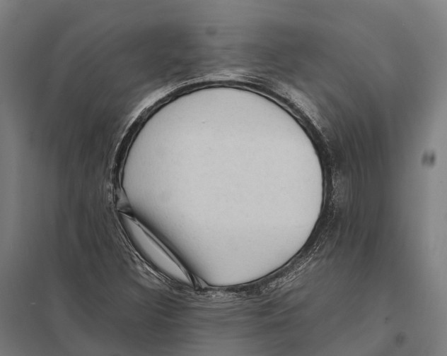 X0000097621308200803281027