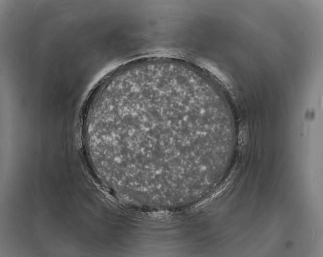 X0000097621310200803281027