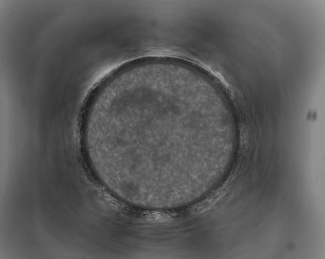X0000097621311200803281027