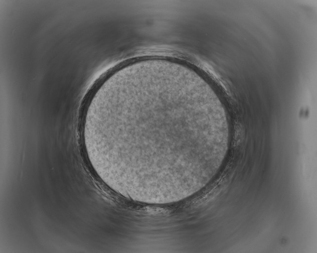 X0000097621312200803281027