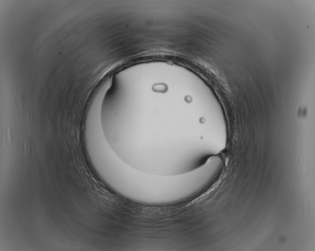 X0000097621313200803281027