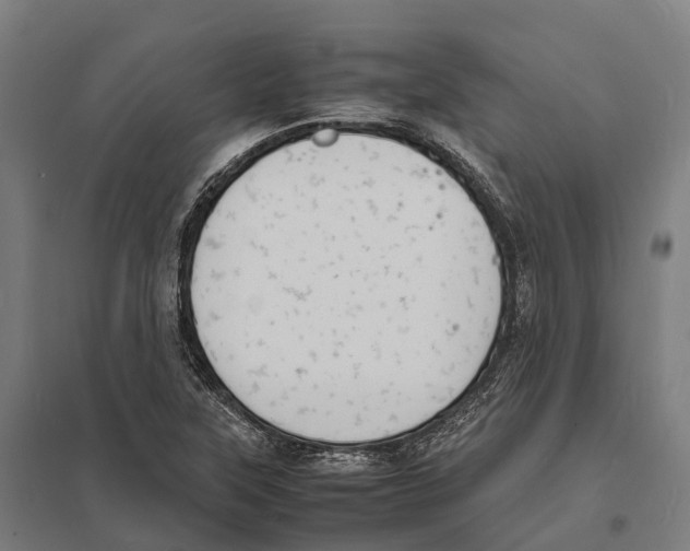 X0000097621315200803281027