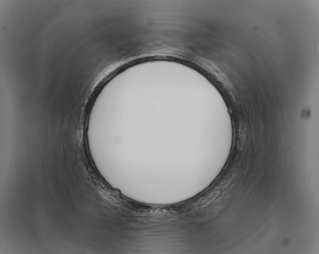 X0000097621316200803281027