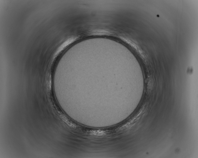 X0000097621317200803281027