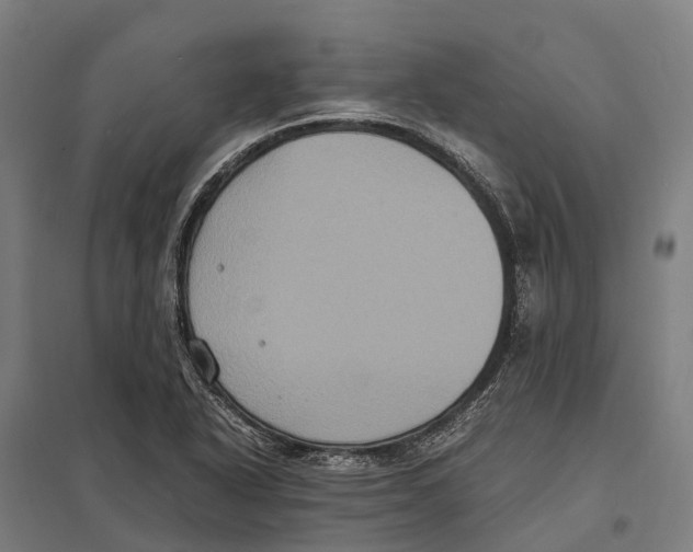 X0000097621318200803281027