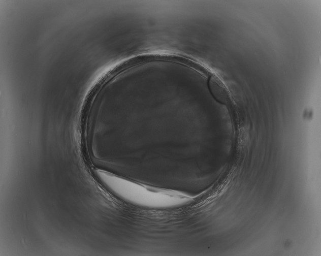 X0000097621319200803281027