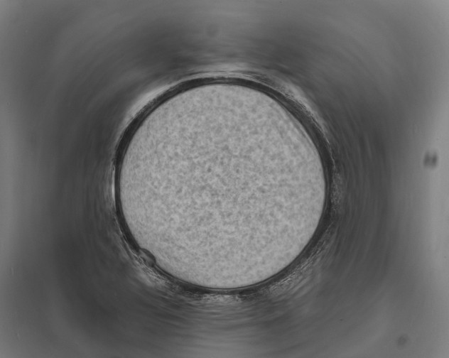 X0000097621320200803281027