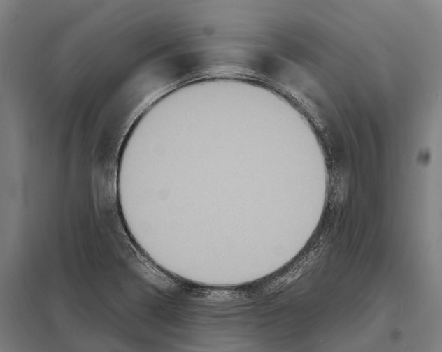 X0000097621322200803281028