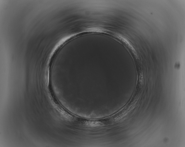X0000097621323200803281028