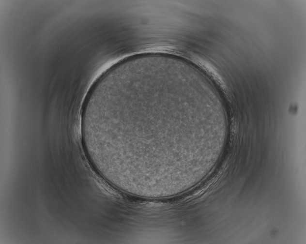 X0000097621324200803281028