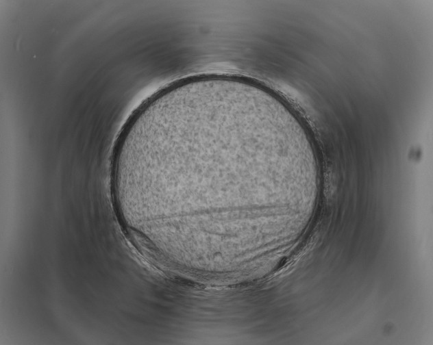 X0000097621326200803281028