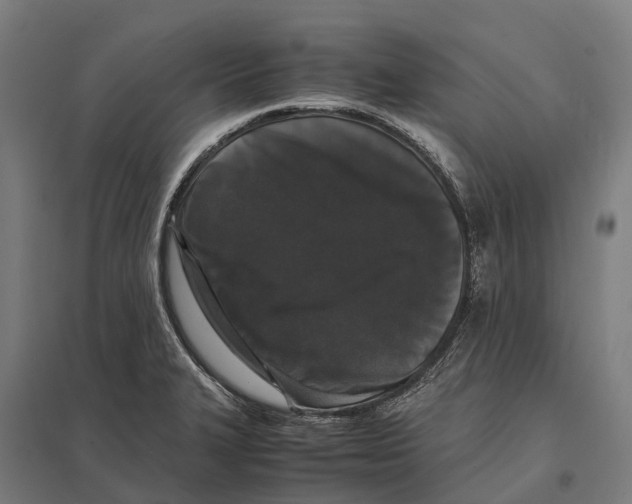 X0000097621327200803281028