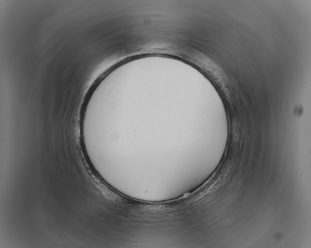 X0000097621328200803281028