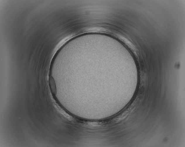 X0000097621330200803281028