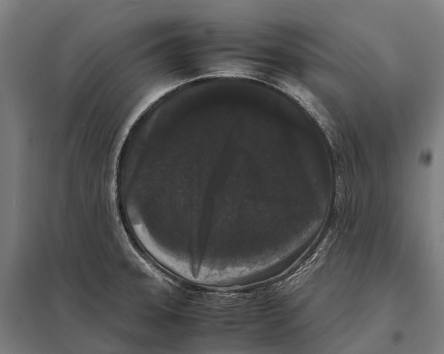X0000097621331200803281028