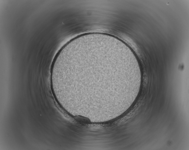 X0000097621332200803281028