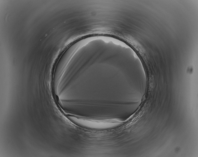 X0000097621334200803281028