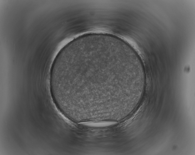 X0000097621335200803281028