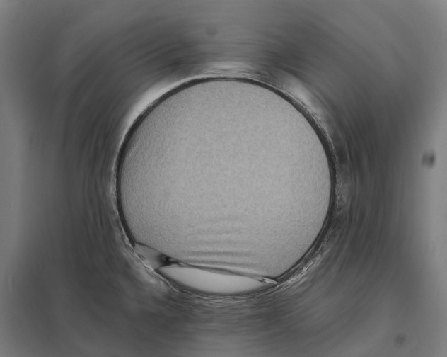 X0000097621336200803281028