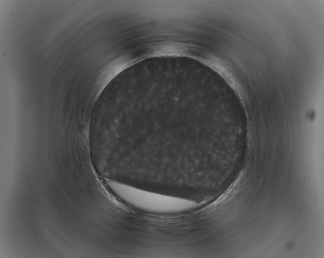 X0000097621337200803281028