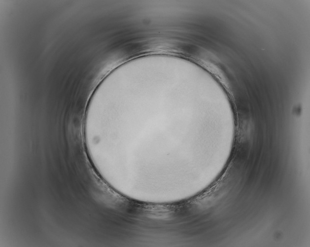 X0000097621338200803281028