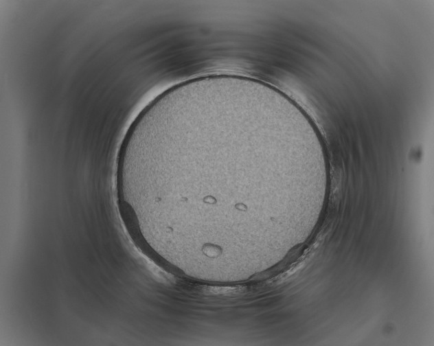 X0000097621339200803281028