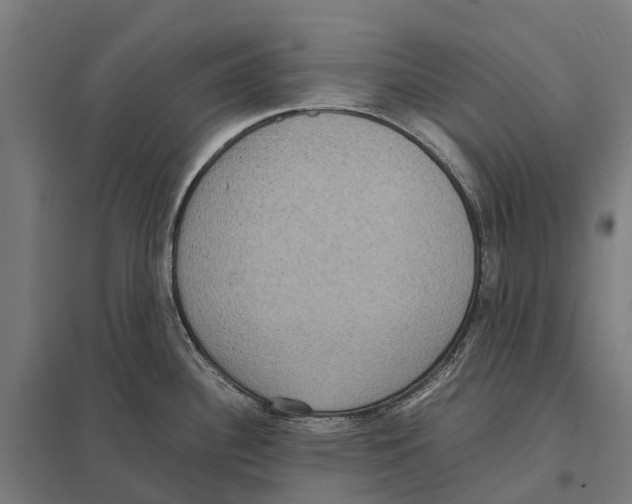 X0000097621340200803281028