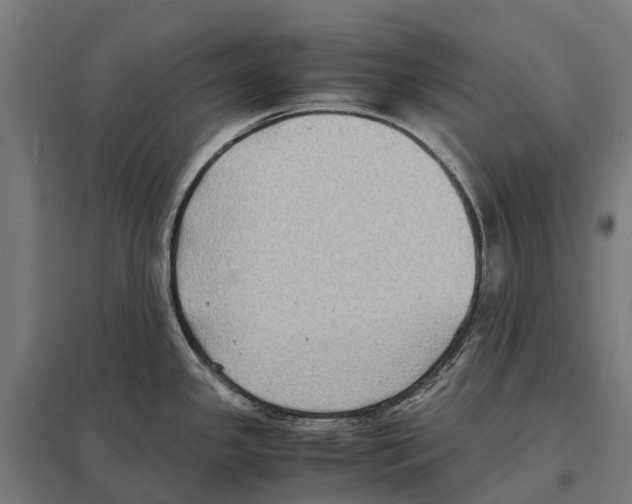 X0000097621341200803281028