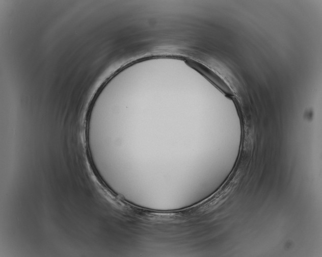 X0000097621342200803281028