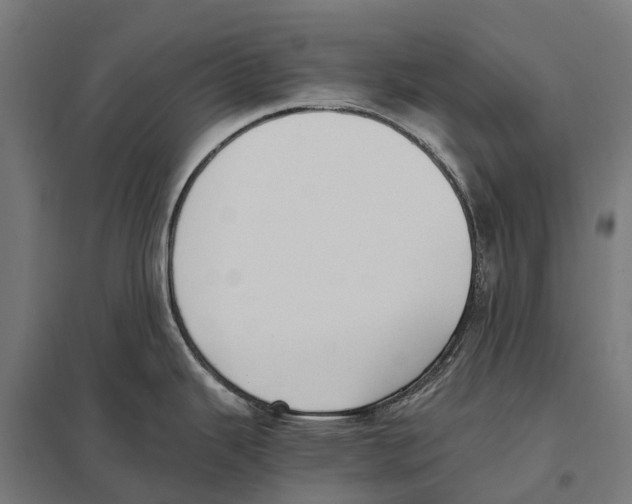 X0000097621343200803281028
