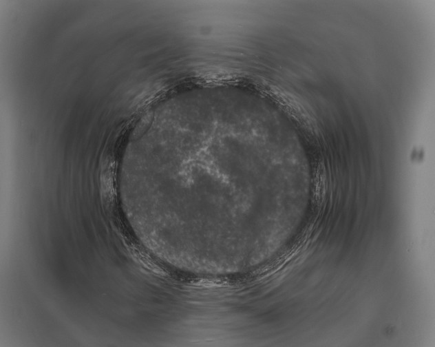 X0000097621346200803281027