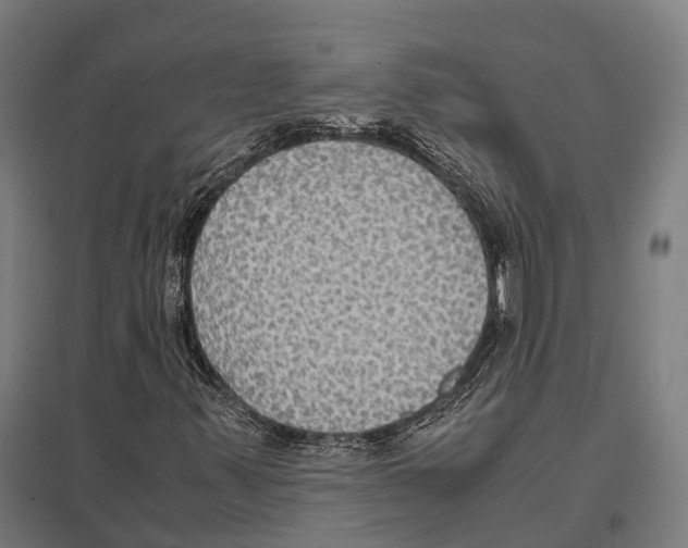 X0000097621347200803281027