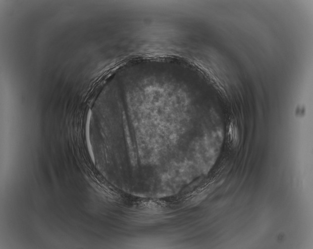 X0000097621348200803281027