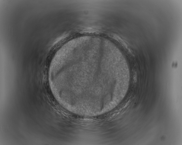 X0000097621350200803281027