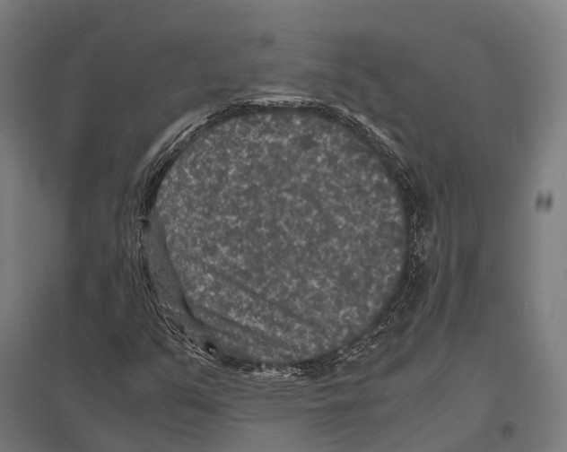X0000097621351200803281027