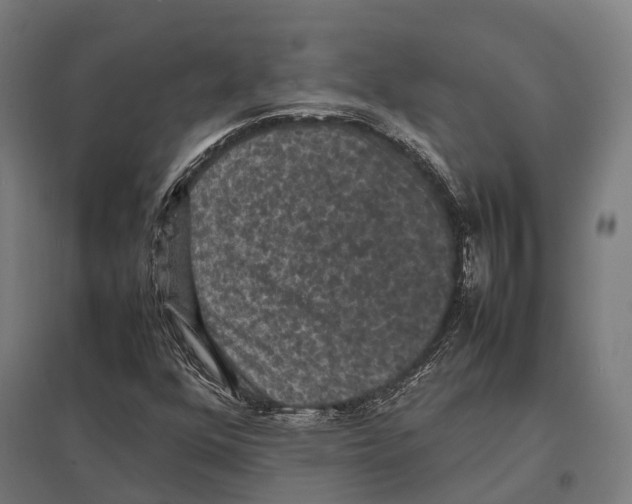 X0000097621352200803281027