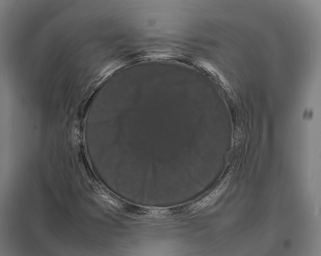 X0000097621353200803281027