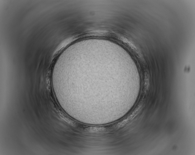 X0000097621354200803281027