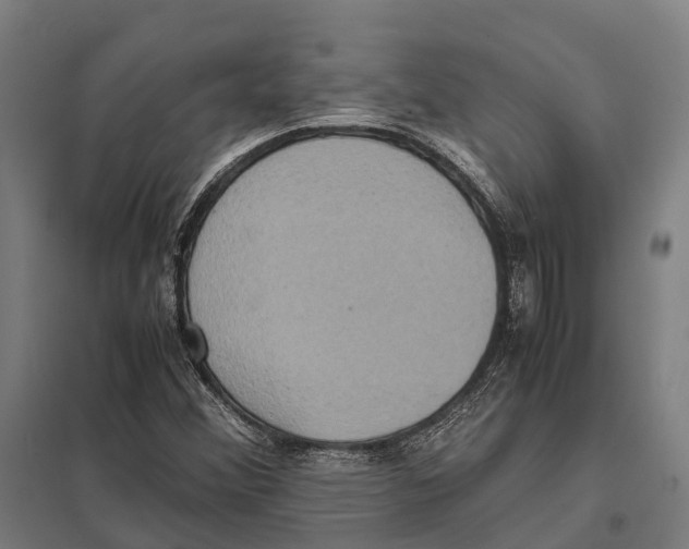 X0000097621356200803281027