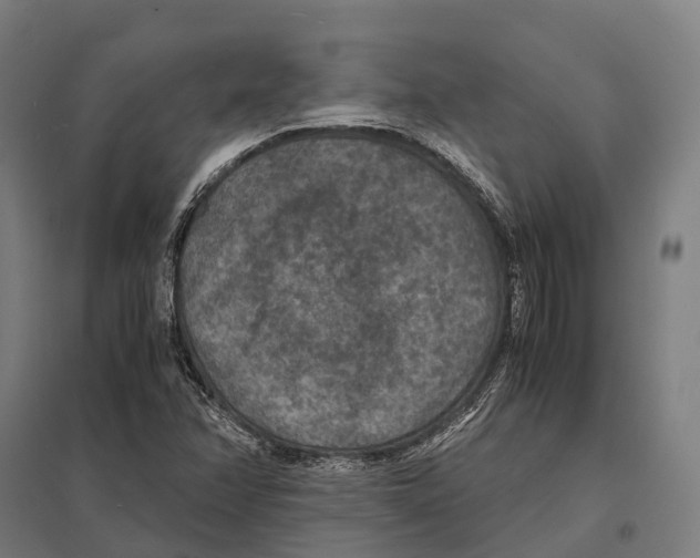 X0000097621358200803281027