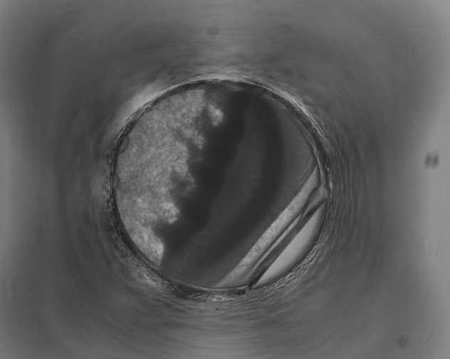 X0000097621359200803281027