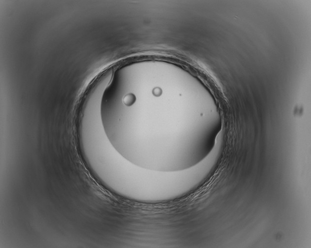 X0000097621360200803281027