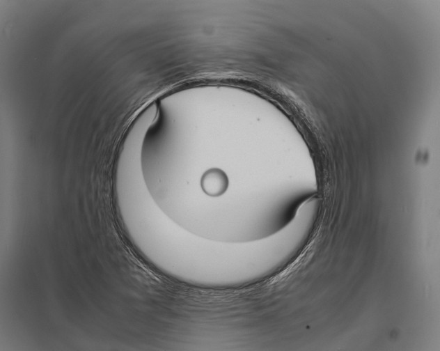 X0000097621361200803281027